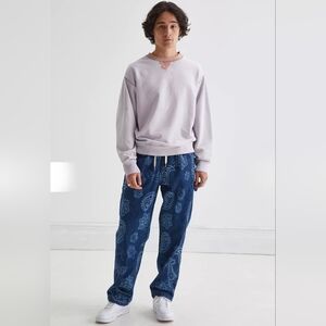 BDG Mens Paisley Print Cargo Pull On Denim Jeans Large